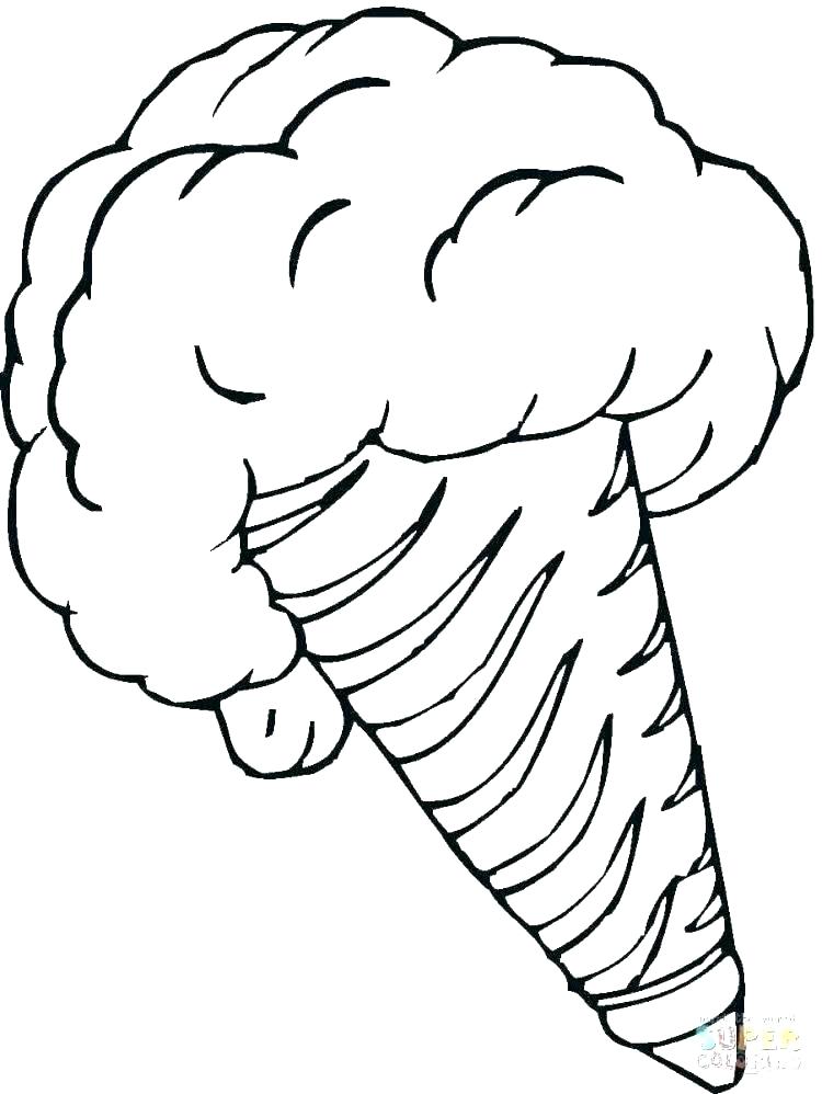 Detailed Animal Coloring Pages Dessert Coloring Pages Desert 750x998 Detailed Animal Coloring Pages Dessert Coloring Pages Desert