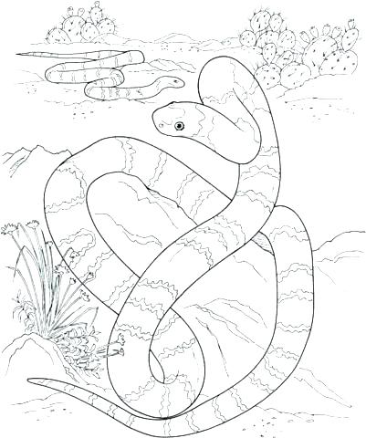 Animal Habitat Coloring Pages Realistic Coloring Pages Packed 401x480 Animal Habitat Coloring Pages Realistic Coloring Pages Packed