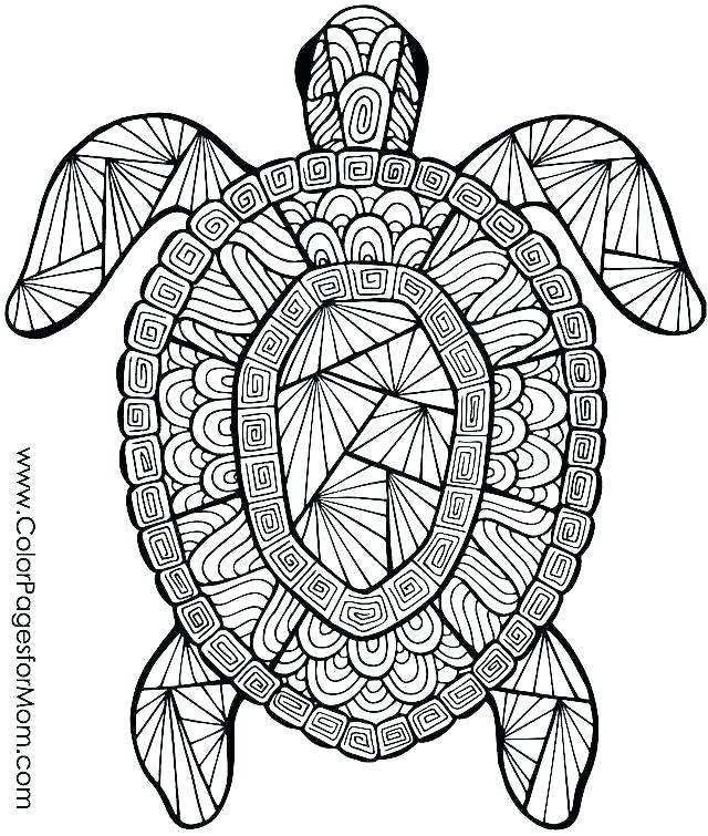 640x755 Free Printable Animal Coloring Pages For Adults Advanced Advanced
