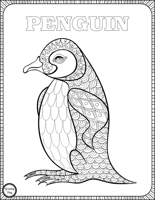 495x640 Penguin Coloring Page From Animal Coloring Pages