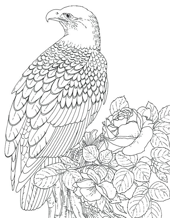575x735 Animal Coloring Pages For Adults