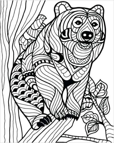 479x600 Animal Coloring Pages For Adults