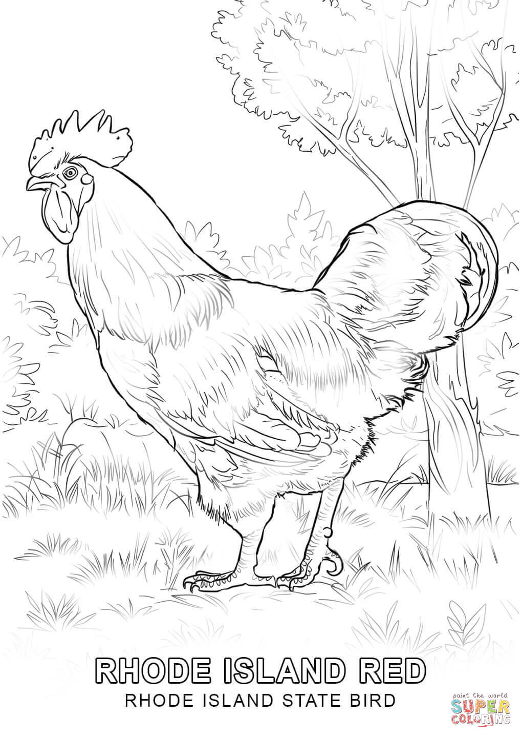 Florida State Bird Coloring Page 1020x1440 Florida State Bird Coloring Page