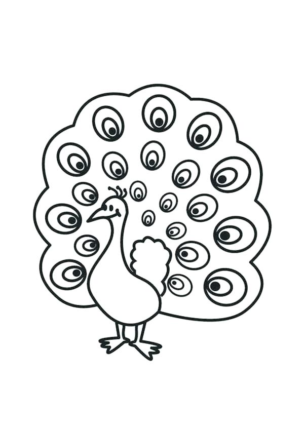 Peacock Color Page Pin Drawn Peacock Female Detailed Peacock 600x847 Peacock Color Page Pin Drawn Peacock Female Detailed Peacock
