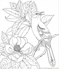 Printable Advanced Bird Coloring Pages For Adults Free 236x277 Printable Advanced Bird Coloring Pages For Adults Free