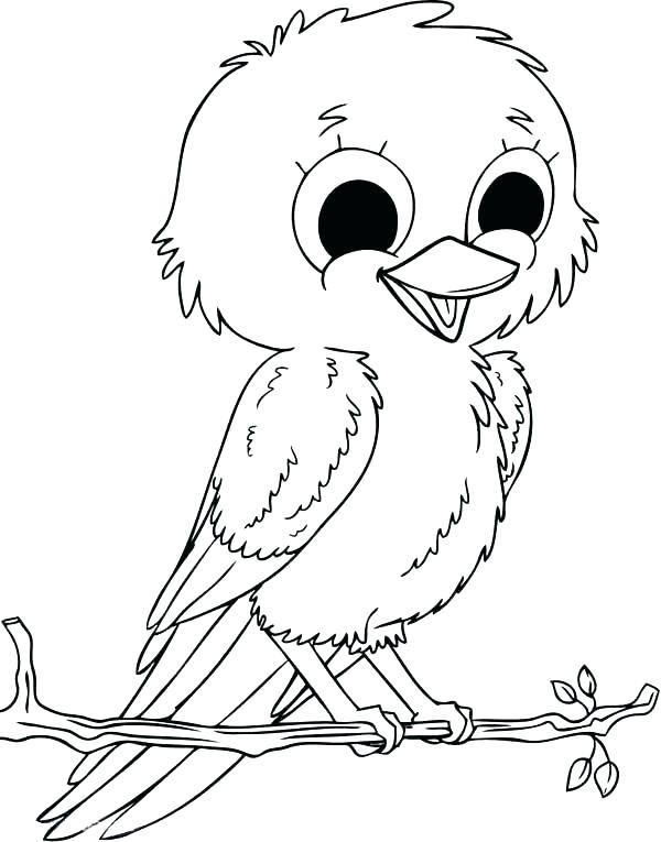 Robin Bird Coloring Pages Color Red Coloring Pages Robin Bird 600x765 Robin Bird Coloring Pages Color Red Coloring Pages Robin Bird