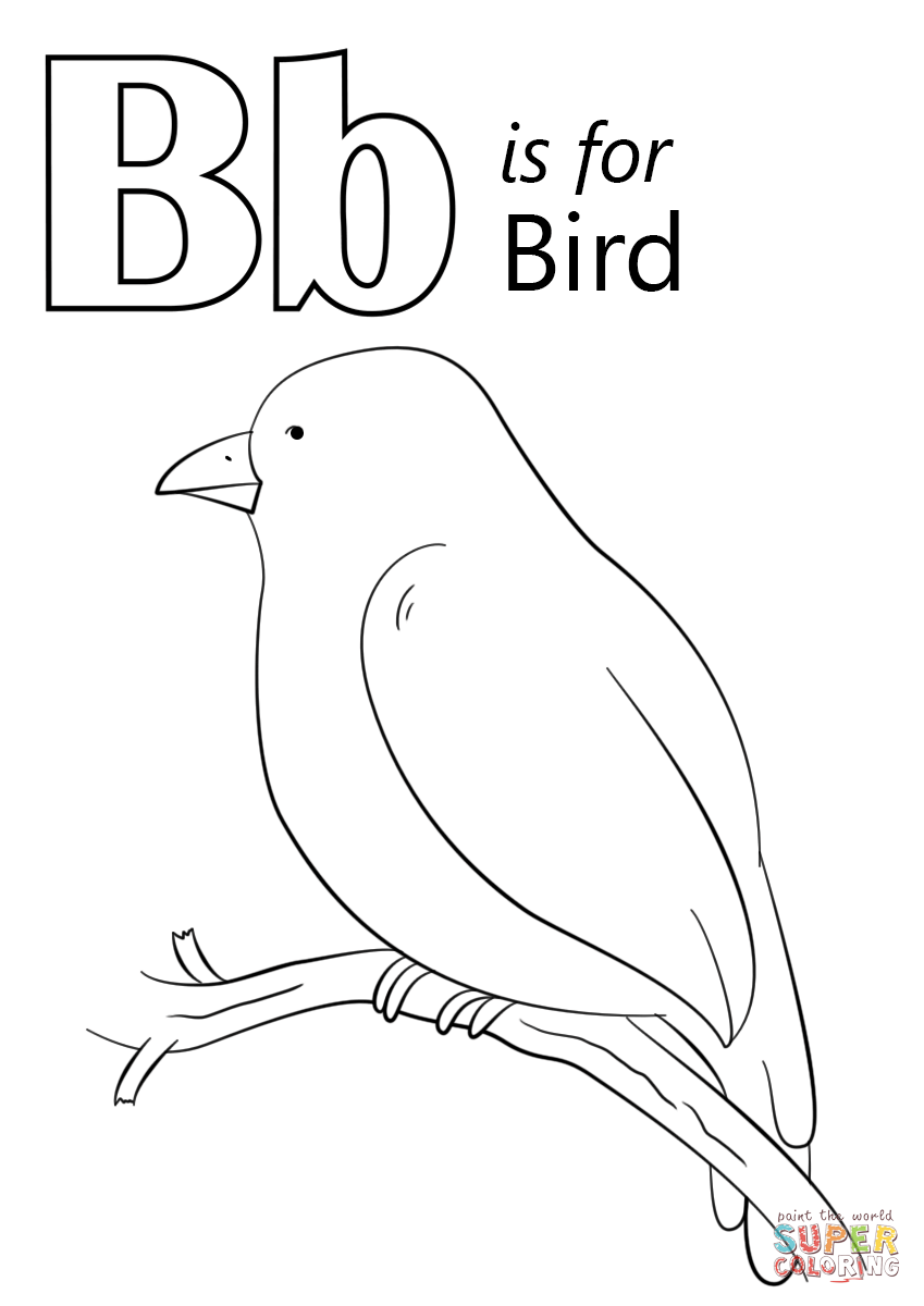Umbrella Bird Coloring Page 849x1200 Umbrella Bird Coloring Page