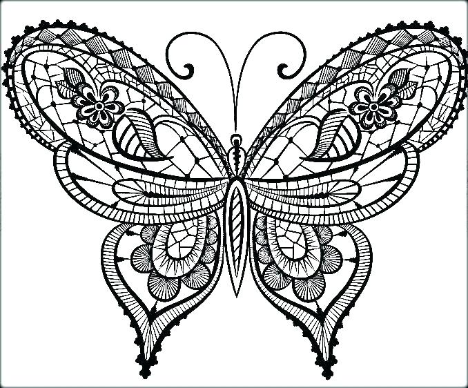 Detailed Butterfly Coloring Pages at GetColorings.com | Free printable ...