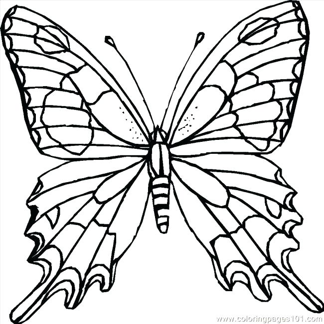 Detailed Coloring Page Butterfly Printable Coloring Pages 650x651 Detailed Coloring Page Butterfly Printable Coloring Pages