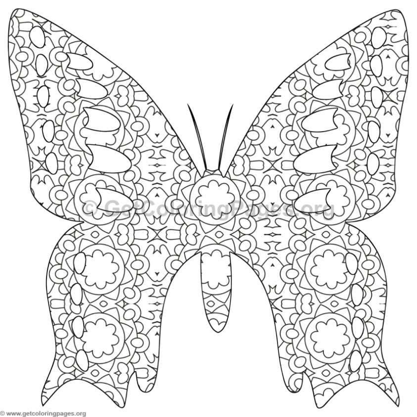 Butterfly Coloring Pages 843x843 Butterfly Coloring Pages