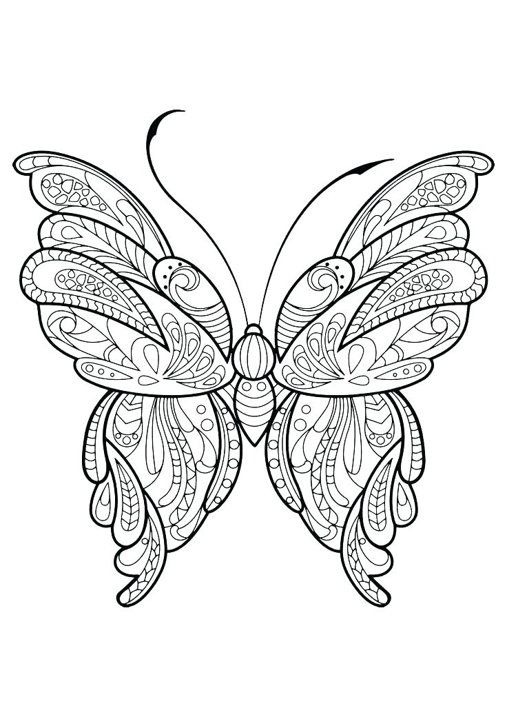Butterfly Coloring Pages Butterfly Color Pages Detailed Butterfly 736x1040 Butterfly Coloring Pages Butterfly Color Pages Detailed Butterfly