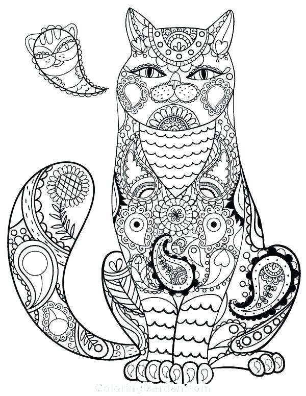Detailed Cat Coloring Pages at GetColorings.com | Free printable ...
