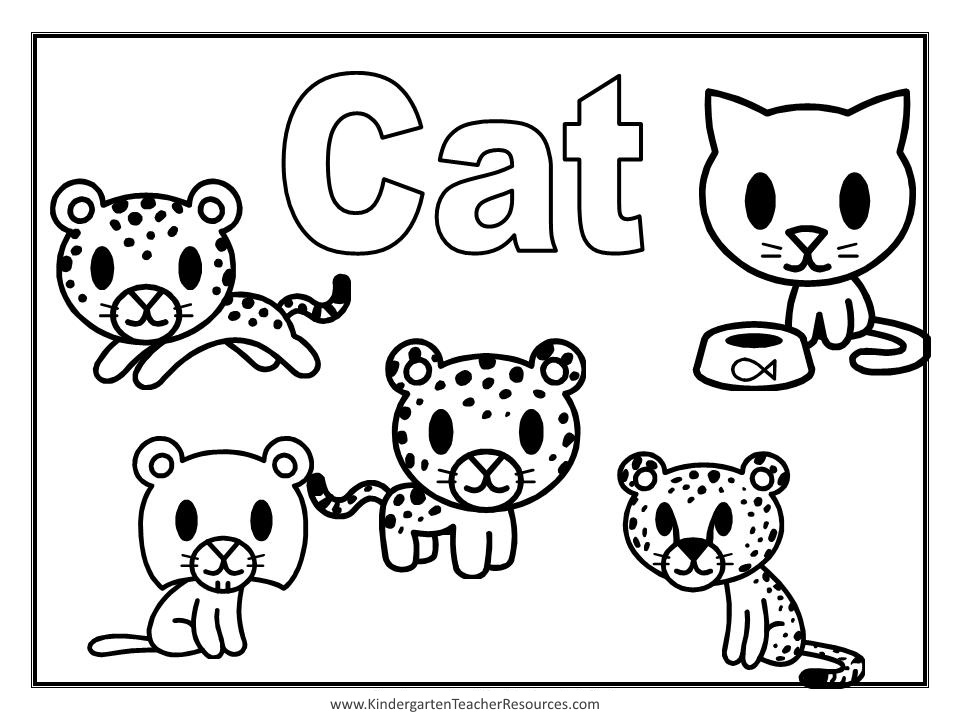 960x720 Cat Coloring Pages The Sun Flower Pages