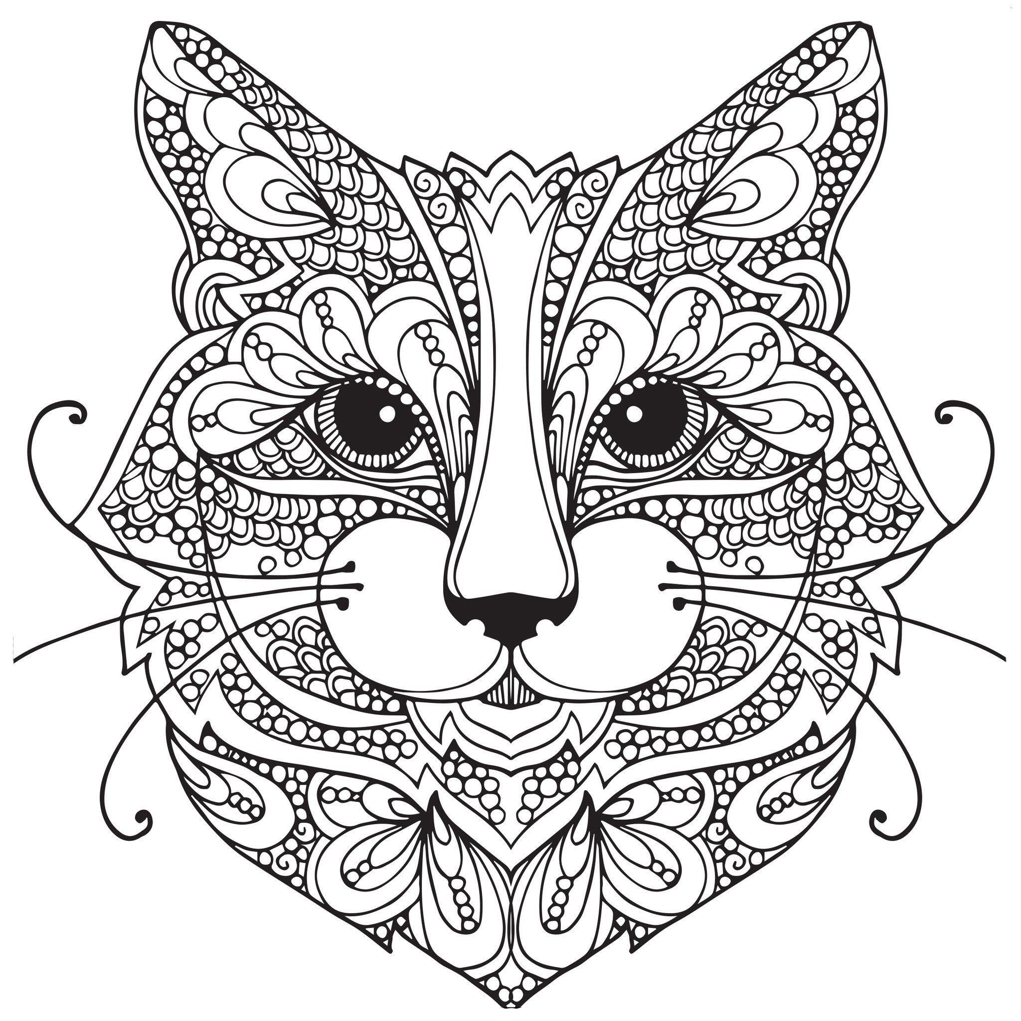 Detailed Cat Coloring Pages at GetColorings.com | Free printable ...