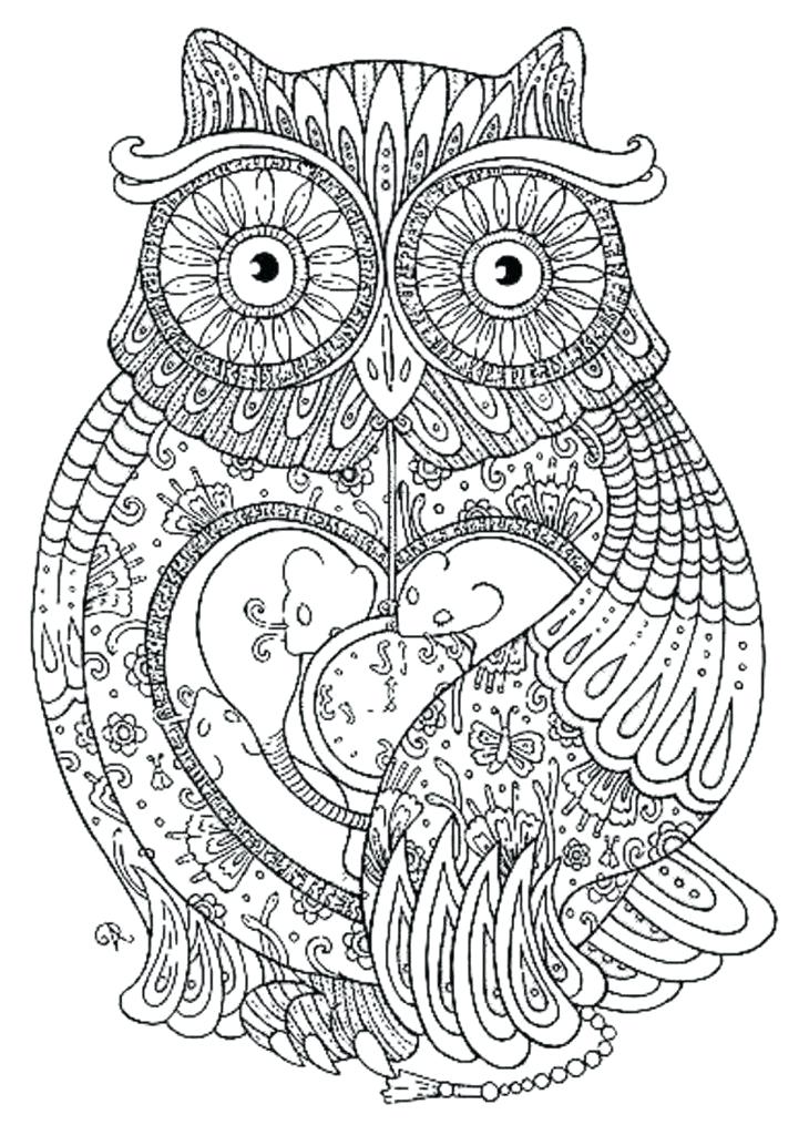 730x1024 Detailed Coloring Pages For Adults Educational Coloring Pages