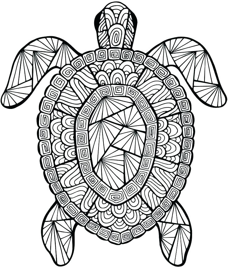 736x866 Detailed Coloring Pages For Adults