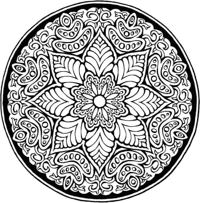 650x662 Free Detailed Coloring Pages For Adults Printable Advanced Colors