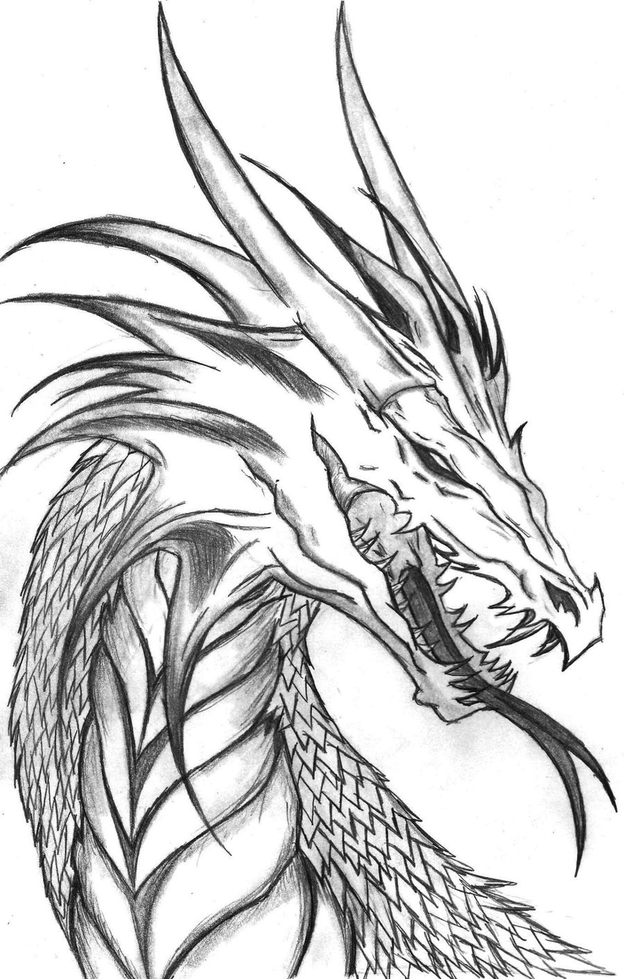 900x1412 Dragon Head Coloring Pages