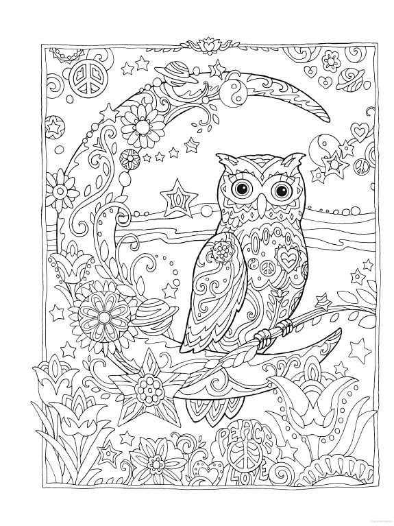 575x767 Owl Owls Crescent Moon Flowers Peace Space Coloring Pages