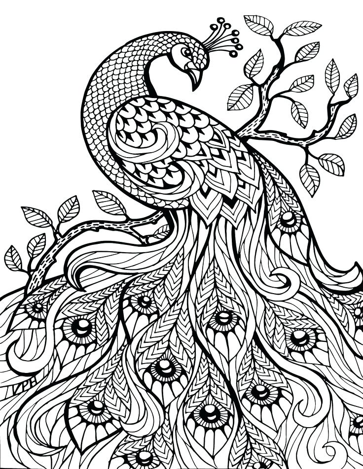 736x952 Detailed Coloring Sheets