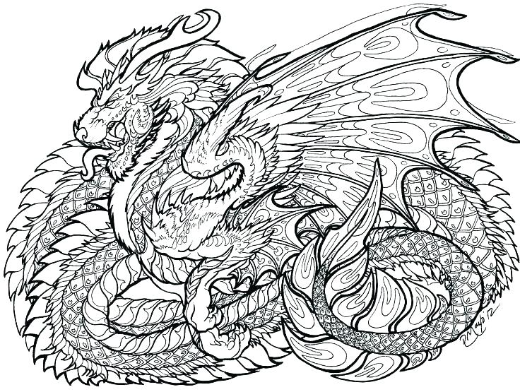 Printable Dragon Coloring Pages Printable Dragon Coloring Pages 736x555 Printable Dragon Coloring Pages Printable Dragon Coloring Pages