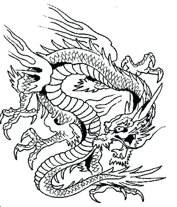 Dragon Coloring Pages For Adults 600x699 Dragon Coloring Pages For Adults