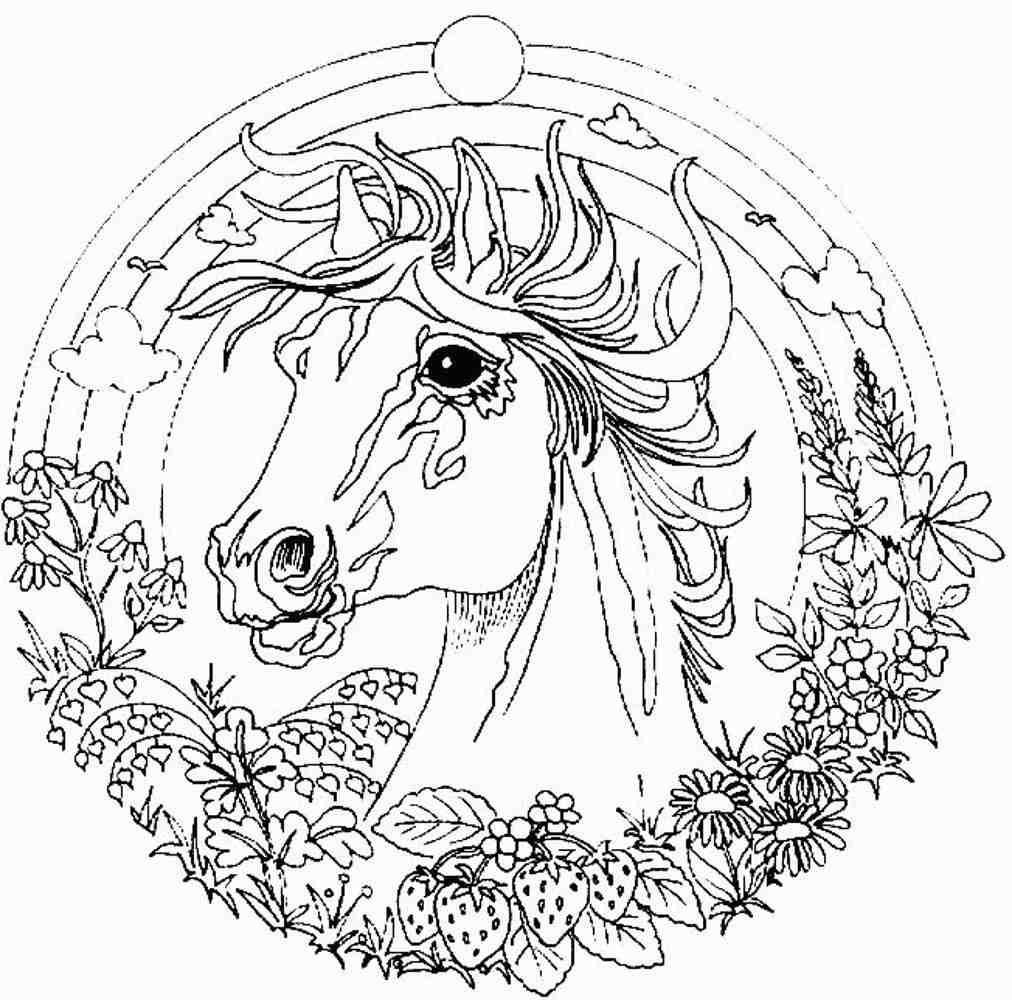 Adult Fairy Coloring Pages Free Printable For Adults Fairies World 1012x1000 Adult Fairy Coloring Pages Free Printable For Adults Fairies World