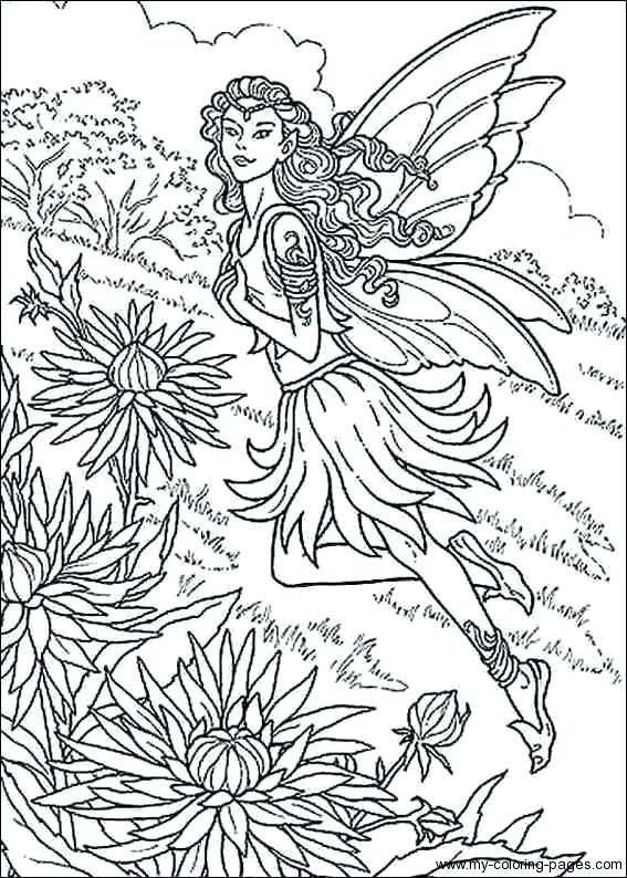 567x794 Detailed Fairy Coloring Pages