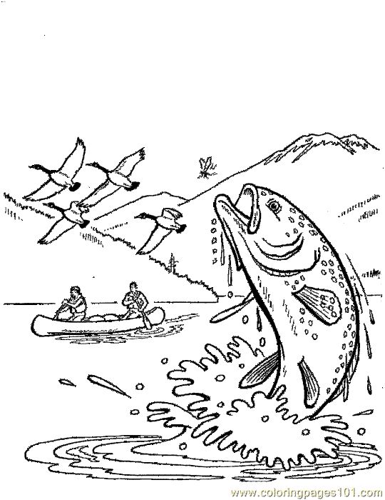 540x700 Freshwater Fish Coloring Pages Ebestbuyvn.co