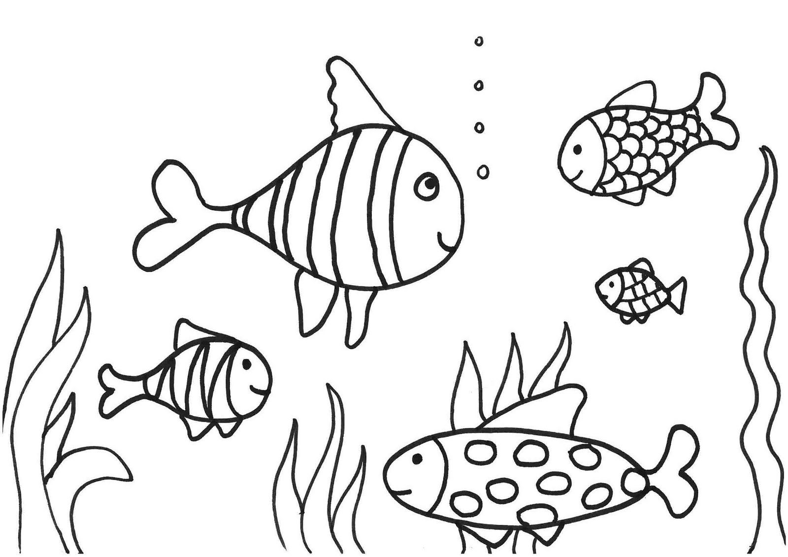 1600x1131 New Fish Colouring Picture 1 2 Coloring Pages Gallery For Kids