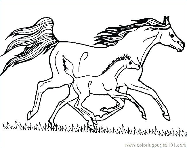 Detailed Horse Coloring Pages at GetColorings.com | Free printable ...