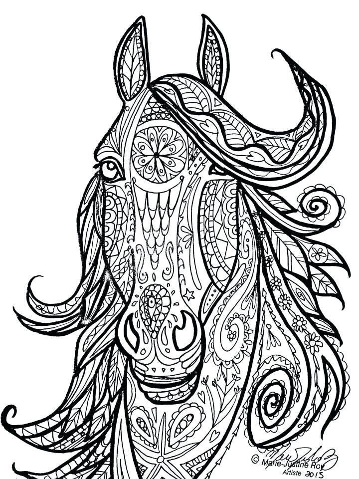 Horses Coloring Pages Horses Coloring Page Realistic Arabian Horse 720x960 Horses Coloring Pages Horses Coloring Page Realistic Arabian Horse