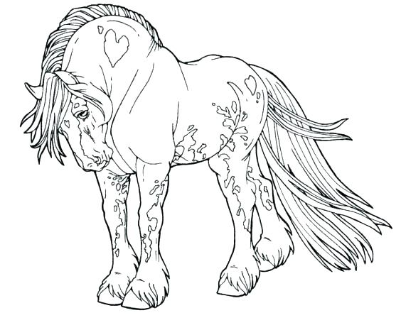 Realistic Horse Coloring Pages Realistic Horse Coloring Pages 564x465 Realistic Horse Coloring Pages Realistic Horse Coloring Pages