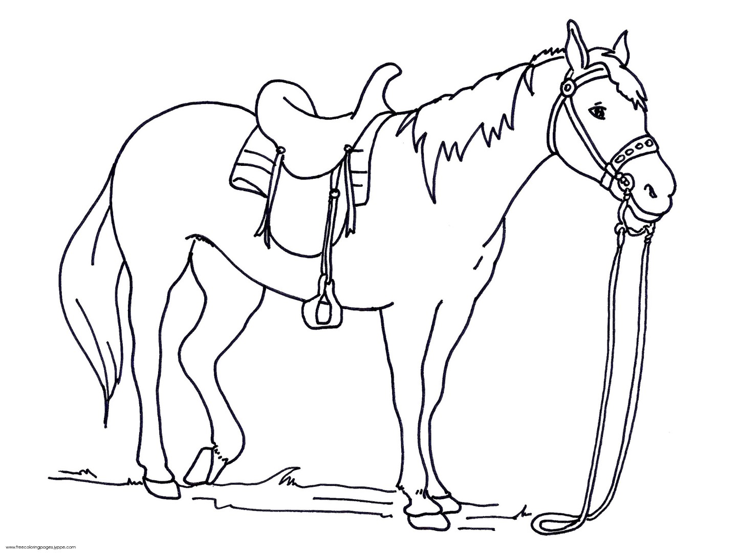Realistic Horse Coloring Pages To Download And Print For Free 1440x1080 Realistic Horse Coloring Pages To Download And Print For Free