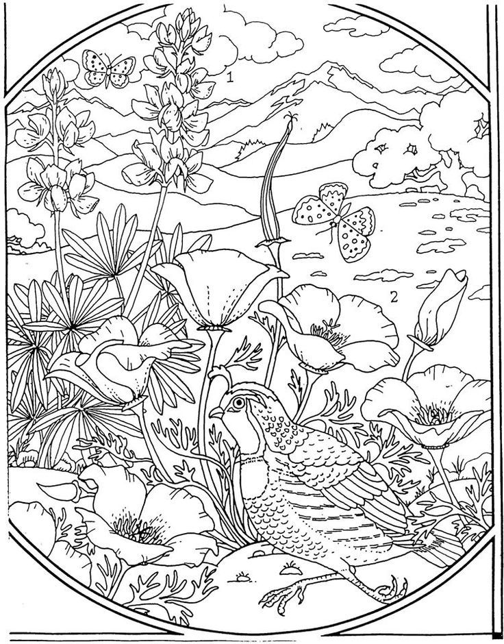 Flowers Coloring Page Coloring Outside The Lines 736x940 Flowers Coloring Page Coloring Outside The Lines