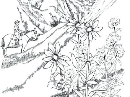 Landscape Coloring Pages For Adults Page Printable 440x330 Landscape Coloring Pages For Adults Page Printable