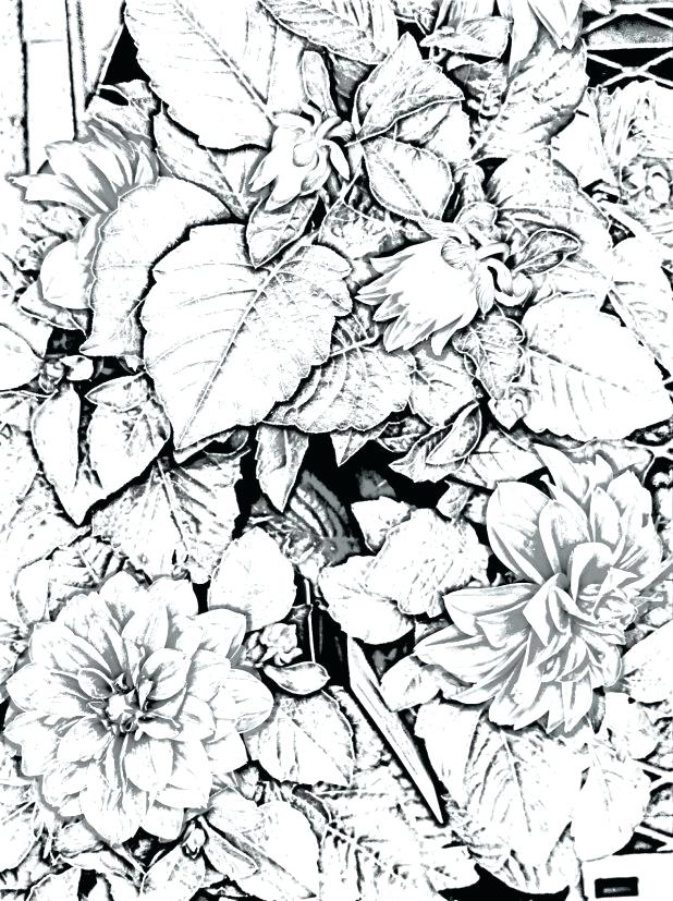 Winter Landscape Coloring Pages 618x827 Winter Landscape Coloring Pages