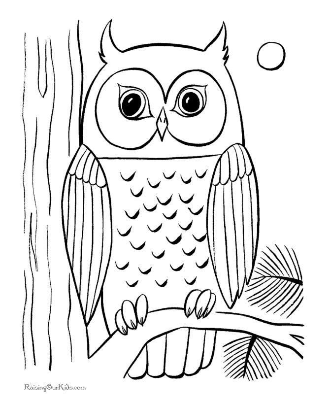 670x820 Free Printable Owl Coloring Page