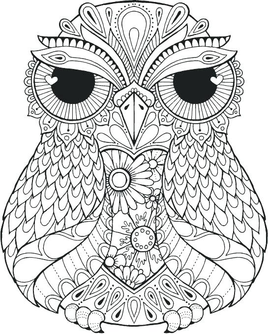 545x678 Meditation Coloring Pages Meditation Coloring Pages Detailed Owl
