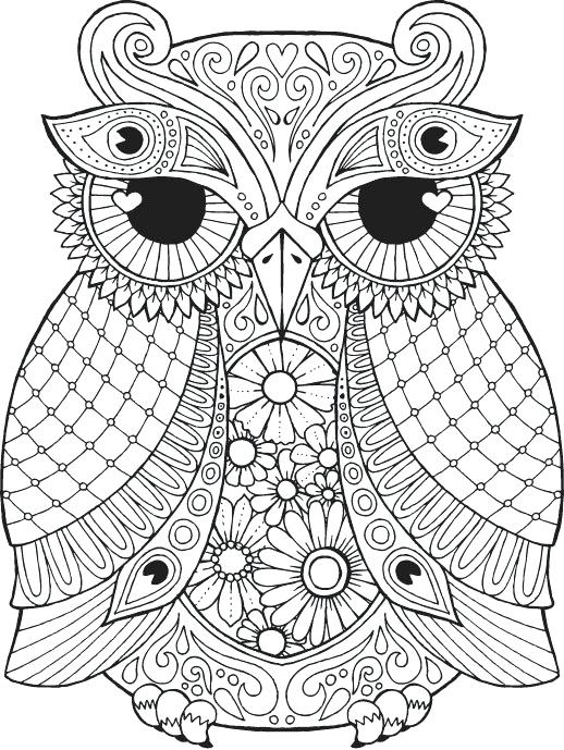 Detailed Owl Coloring Pages at GetColorings.com | Free printable ...