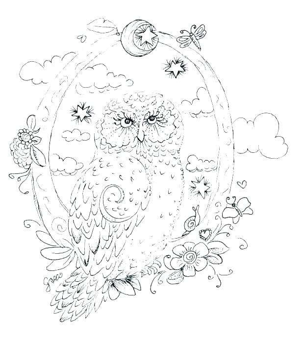 618x694 Owl Coloring Pages Printable Cliptext.co