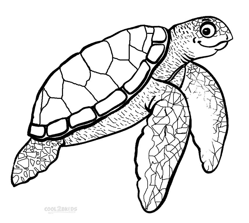850x761 Printable Sea Turtle Coloring Pages For Kids Cool2bkids