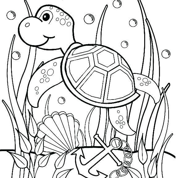 570x576 Sea Life Coloring Pages Underwater Coloring Pages Turtles Coloring