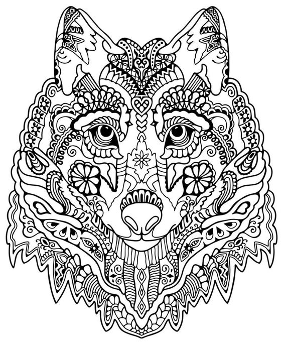 564x687 Wolf Abstract Doodle Zentangle Coloring Pages Colouring Adult