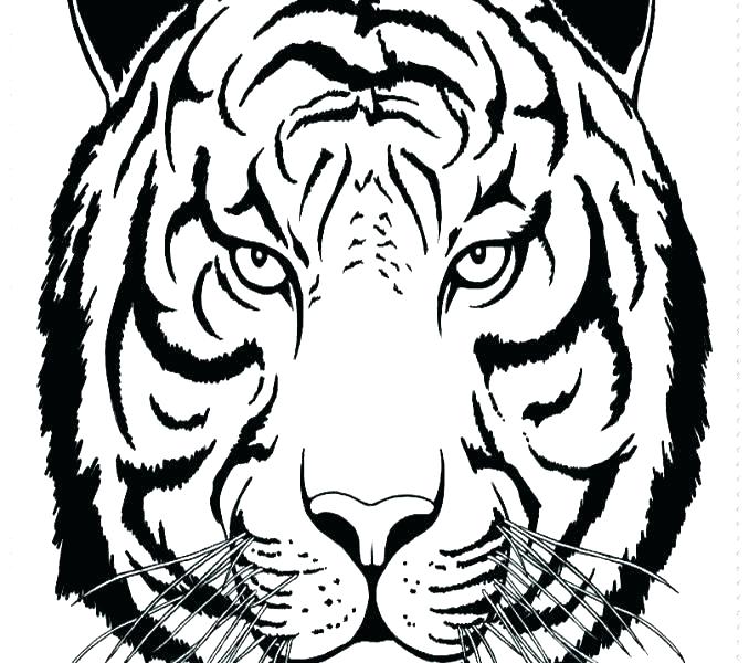 678x600 Detroit Tigers Coloring Pages