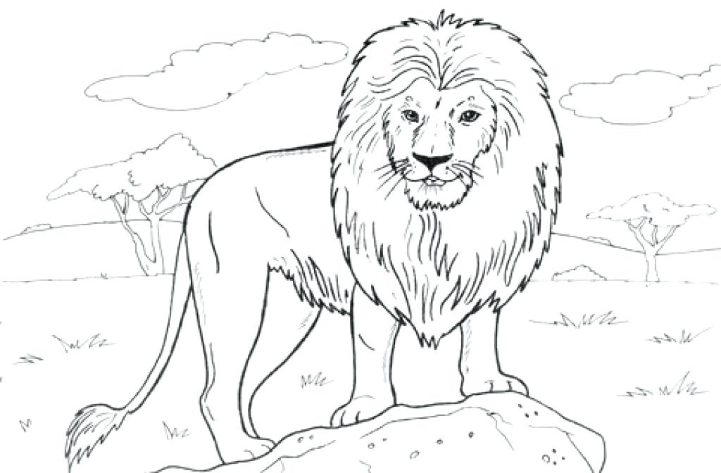 1024x672 Lion Tribal Pencil And In Color Lion Tribal Lion Tribal 2 Sea