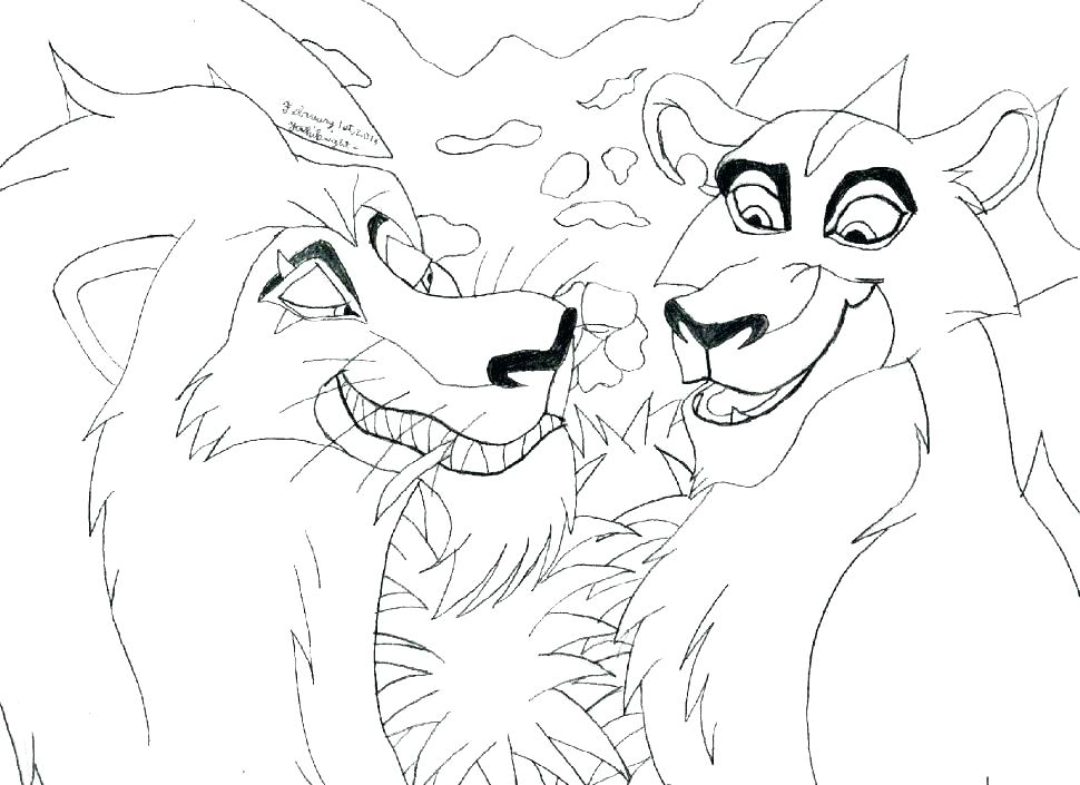 970x705 Lions Coloring Pages Male Lion Coloring Page Detroit Lions