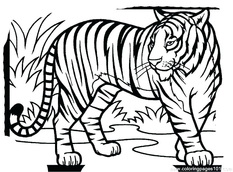 Detroit Tigers Coloring Pages at GetColorings.com | Free printable ...