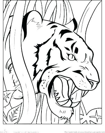 347x440 Tiger Color Pages Tigers Coloring Pages Coloring Kids Coloring
