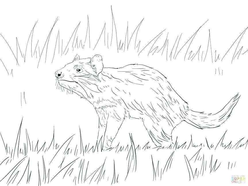 Taz Coloring Pages Coloring Pages Devil Coloring Pages Free Tunes 863x647 Taz Coloring Pages Coloring Pages Devil Coloring Pages Free Tunes